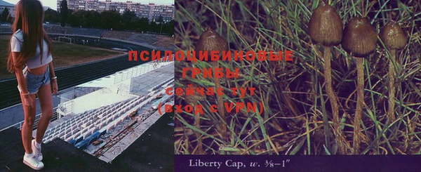 скорость mdpv Лихославль