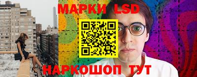 бошки Гатчина