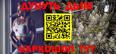 бошки Гатчина