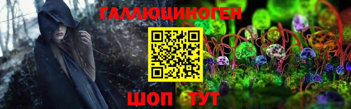 Галлюциногенные грибы Cubensis Гуково